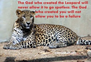 leopardsrilankanewsm